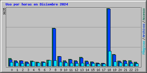 Uso por horas en Diciembre 2024